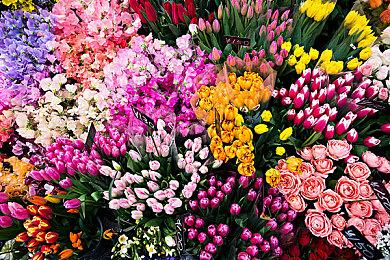 云豹娱乐正式发表Drecom新作《好饿的谜姆》预计于2025年全球同步发行